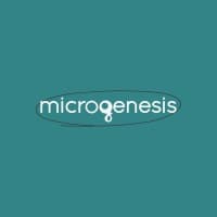 Microgenesis